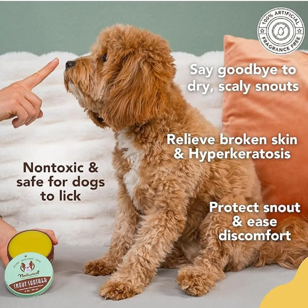 Healing Balm - Snout Soother for Dogs