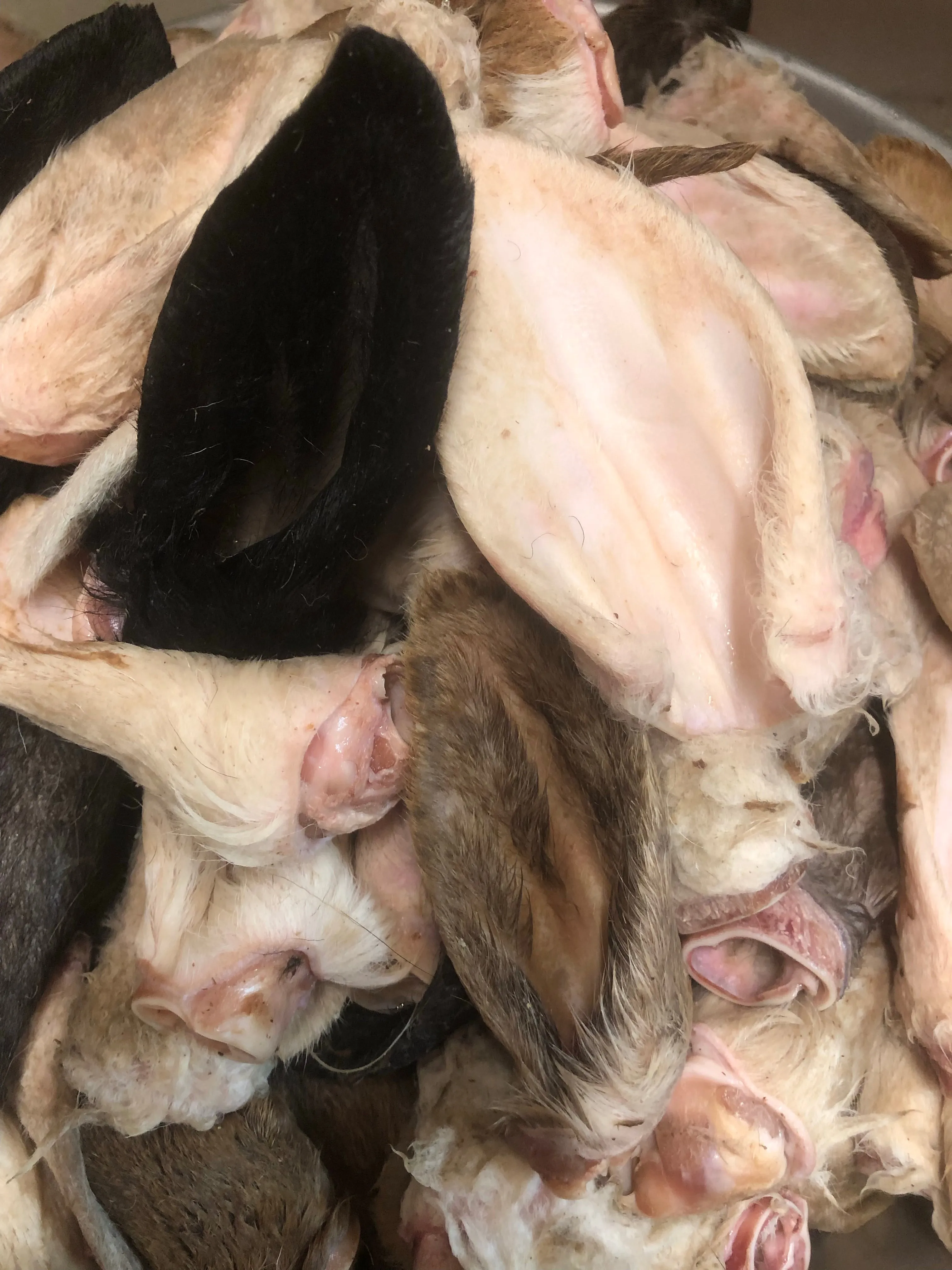 Lamb Ears - Raw, Whole