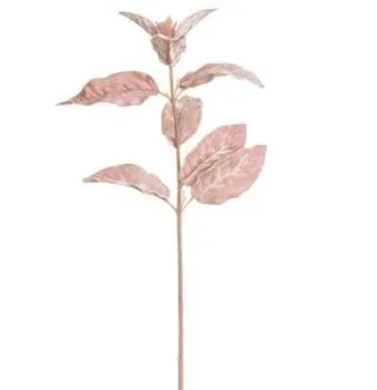 Pink Velvet Lamb's Ear Spray